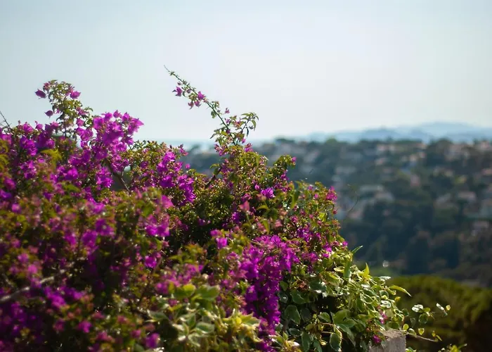 Сasa de vacaciones Cba Costa Brava - Santa Monica Tossa de Mar